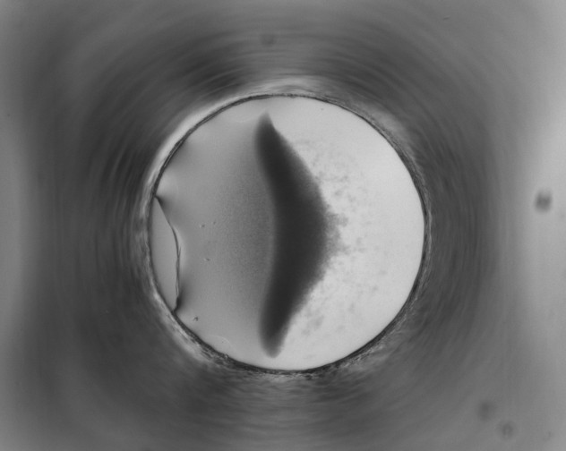 X0000097920816200804041522