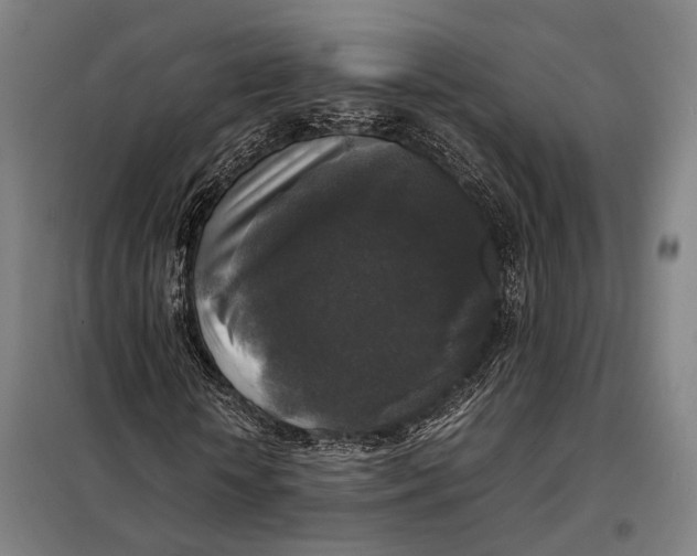 X0000097920818200804041522