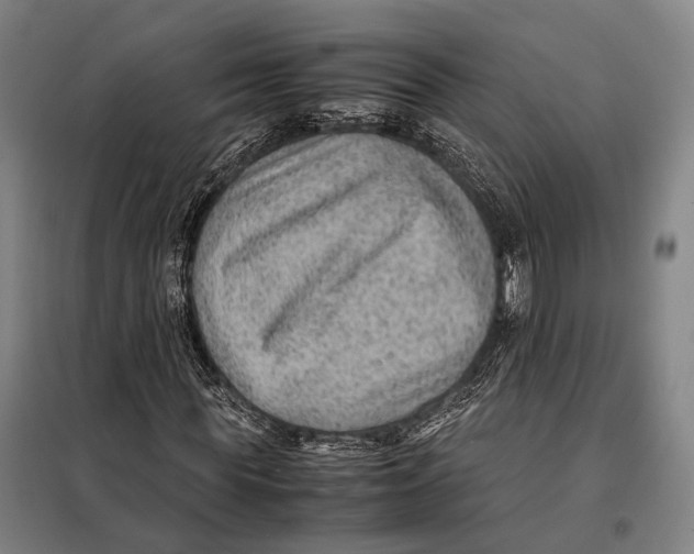 X0000097920819200804041522