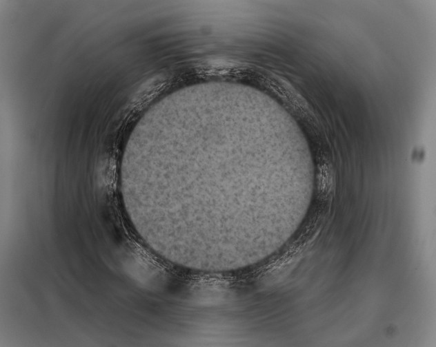 X0000097920820200804041522