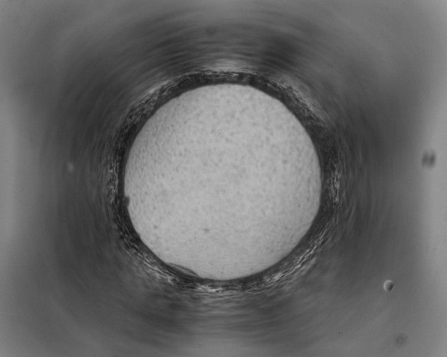 X0000097920821200804041522