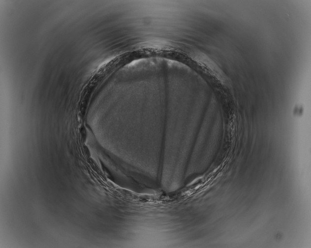 X0000097920822200804041522