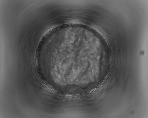 X0000097920823200804041522