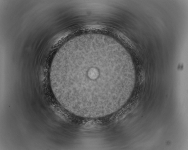 X0000097920824200804041522