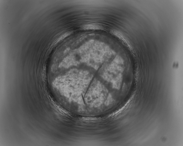 X0000097920825200804041522