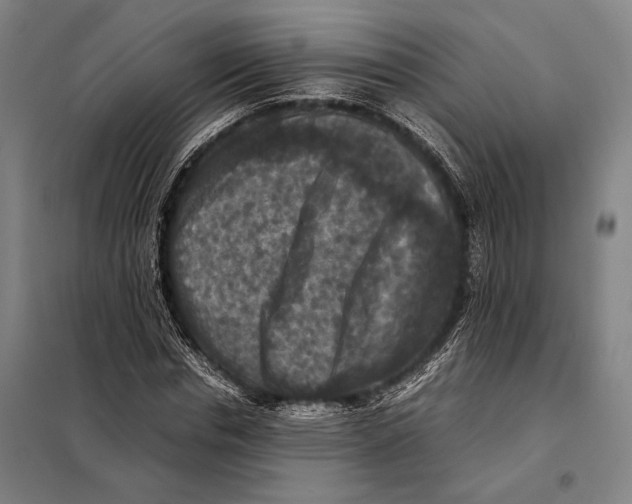 X0000097920826200804041522