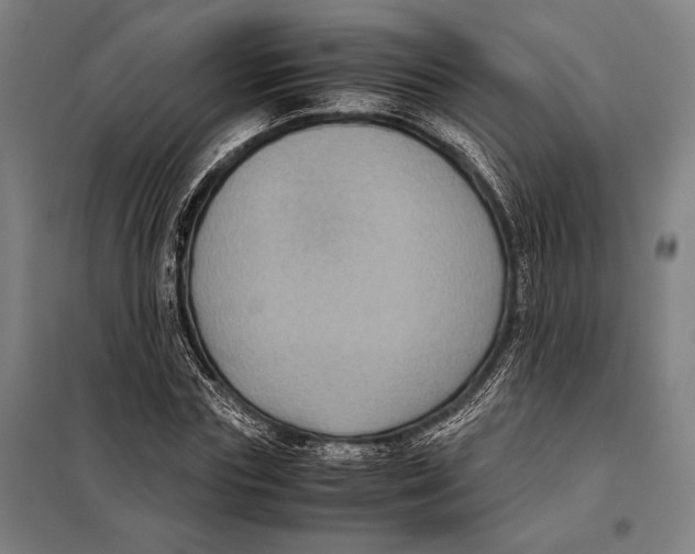 X0000097920827200804041522