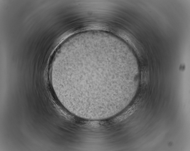 X0000097920828200804041522