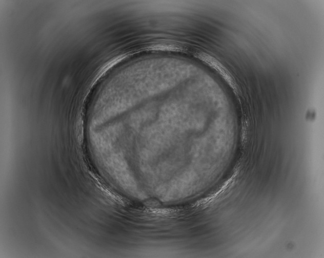 X0000097920829200804041522