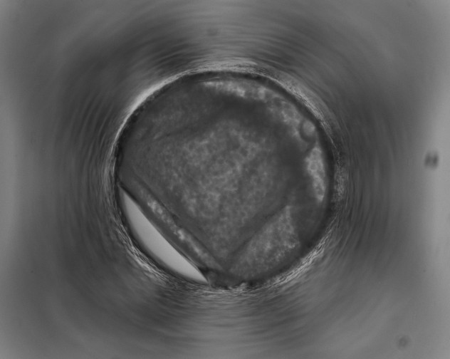 X0000097920830200804041522