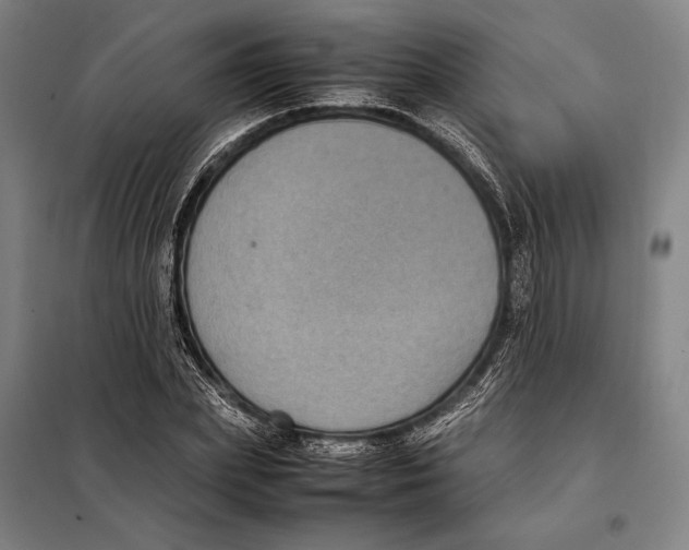 X0000097920831200804041522