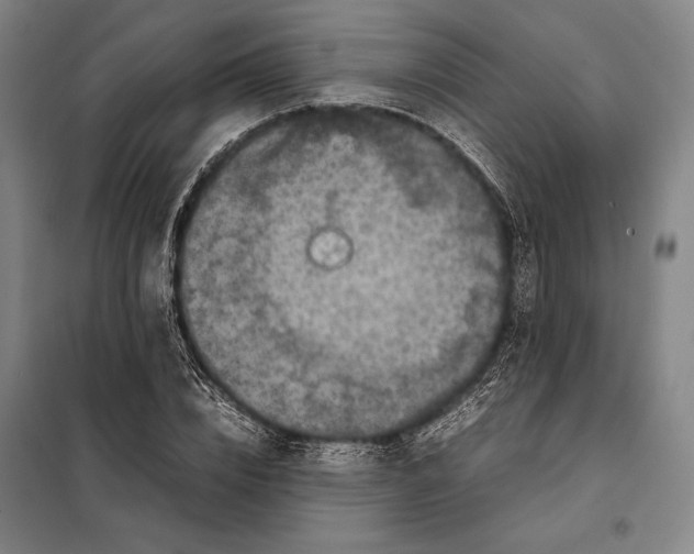 X0000097920832200804041522