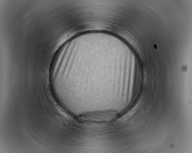 X0000097920834200804041522