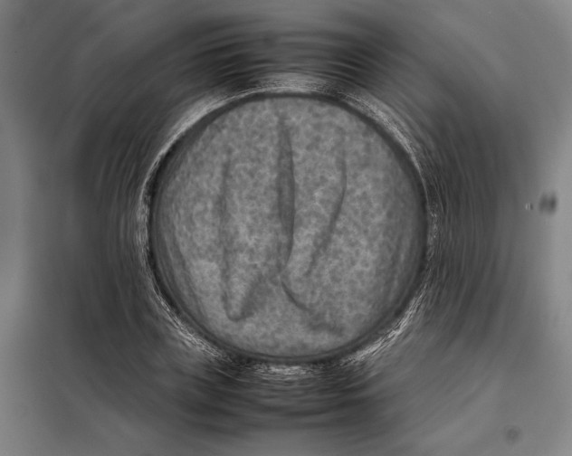 X0000097920835200804041522