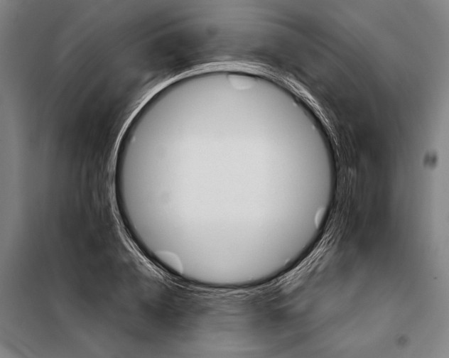 X0000097920836200804041522