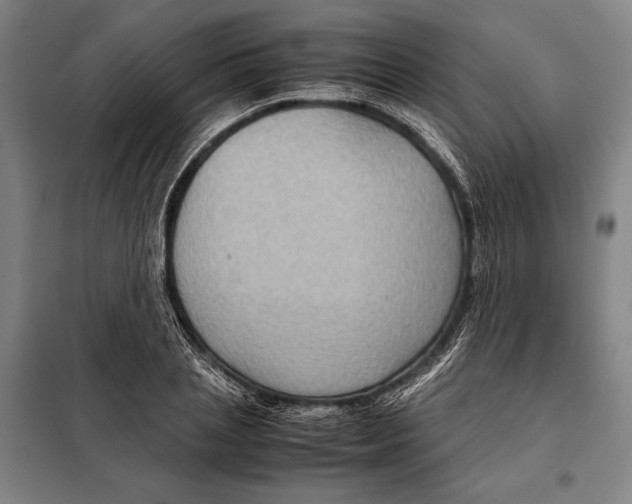 X0000097920837200804041522