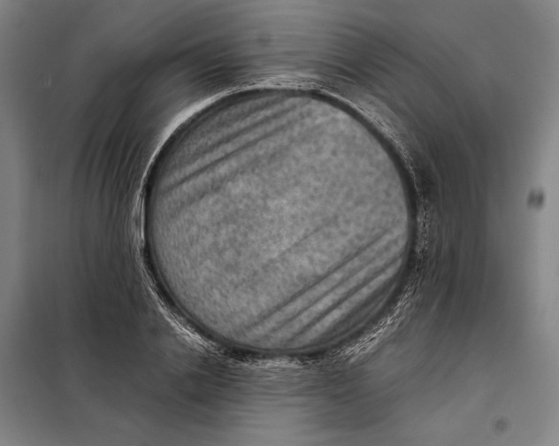 X0000097920838200804041522