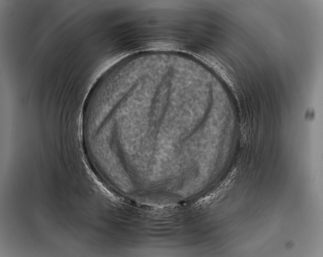 X0000097920839200804041522