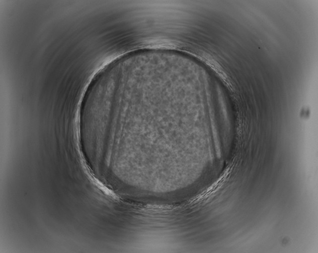 X0000097920840200804041522