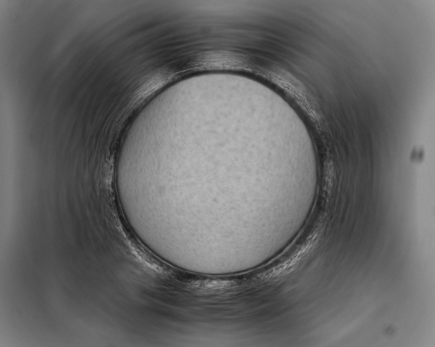 X0000097920841200804041522