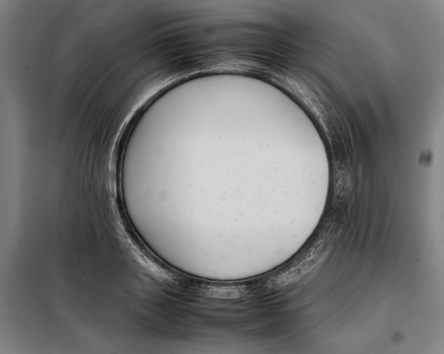 X0000097920843200804041522