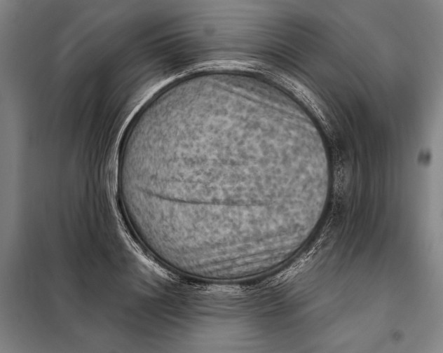 X0000097920844200804041522