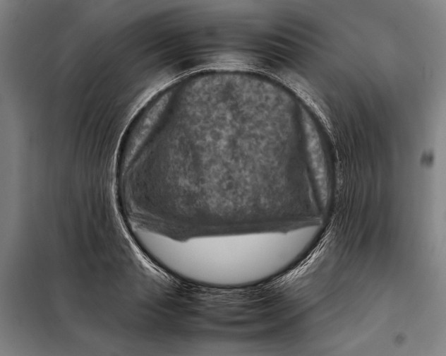 X0000097920845200804041522