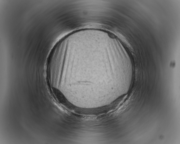 X0000097920846200804041522