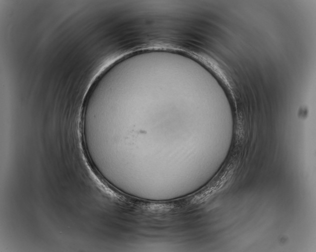 X0000097920847200804041522