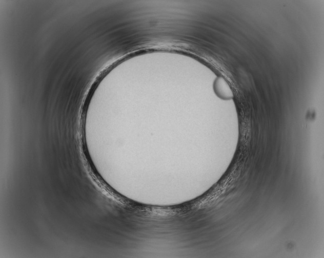 X0000097920848200804041522