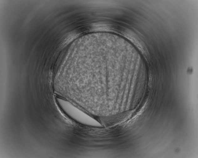 X0000097920849200804041522