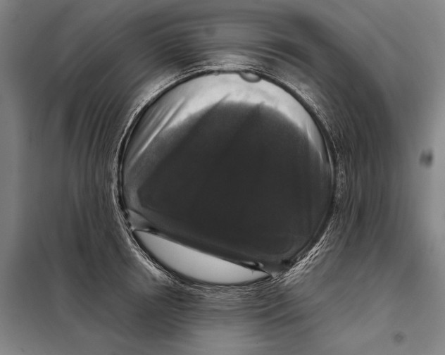 X0000097920850200804041522