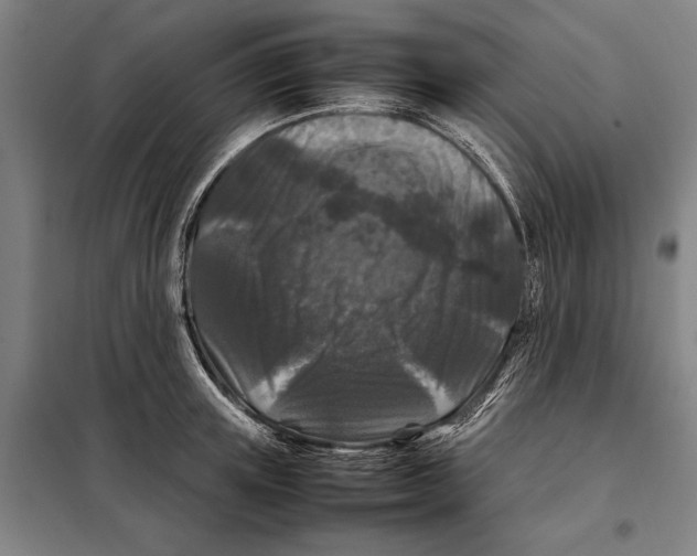 X0000097920851200804041522