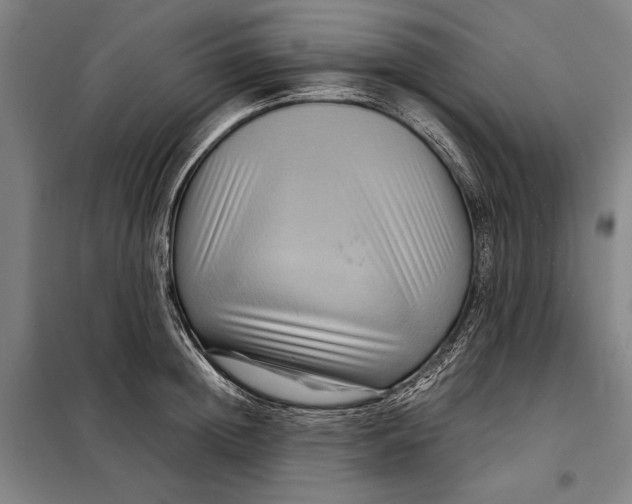 X0000097920852200804041522