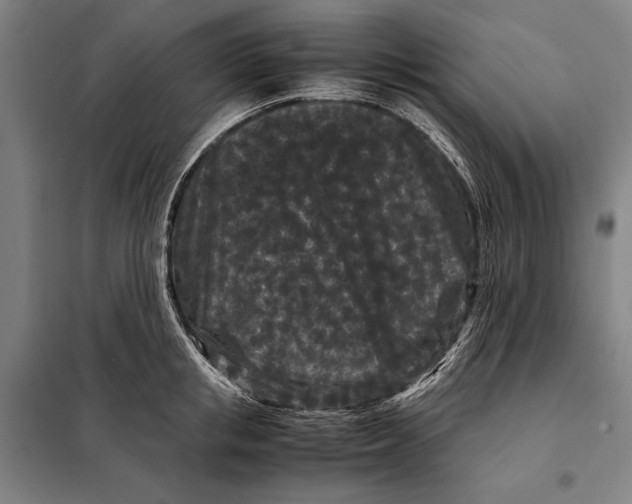 X0000097920853200804041522