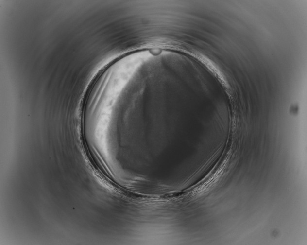 X0000097920854200804041522