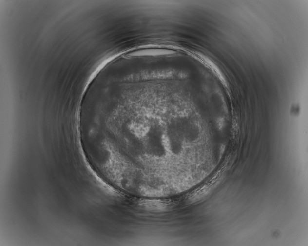 X0000097920855200804041522