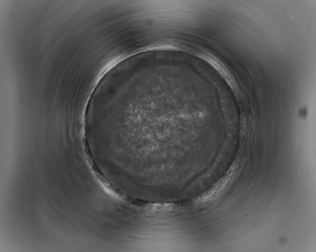 X0000097920858200804041522