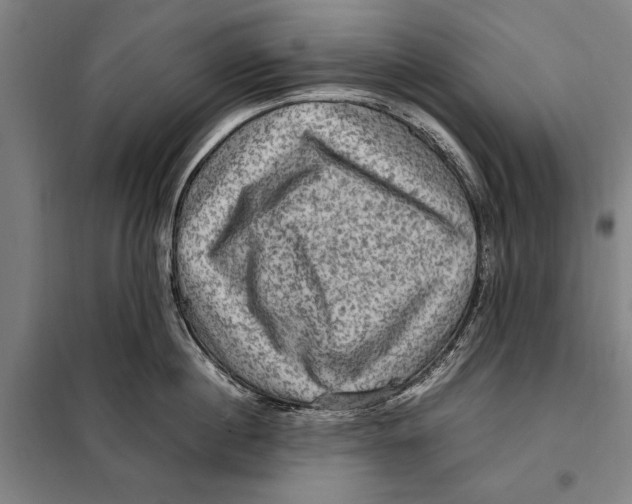 X0000097920860200804041522