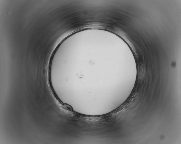 X0000097920861200804041522