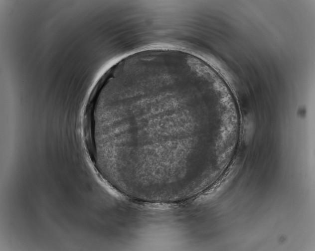 X0000097920862200804041522