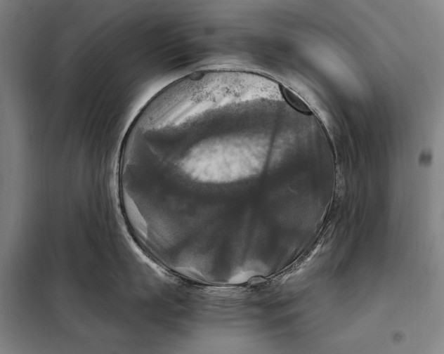 X0000097920863200804041522