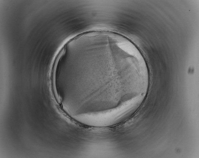 X0000097920864200804041522