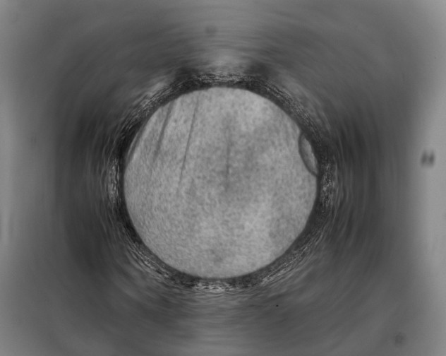 X0000097920866200804041522