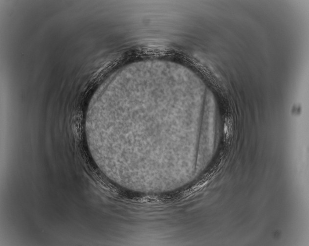 X0000097920867200804041522