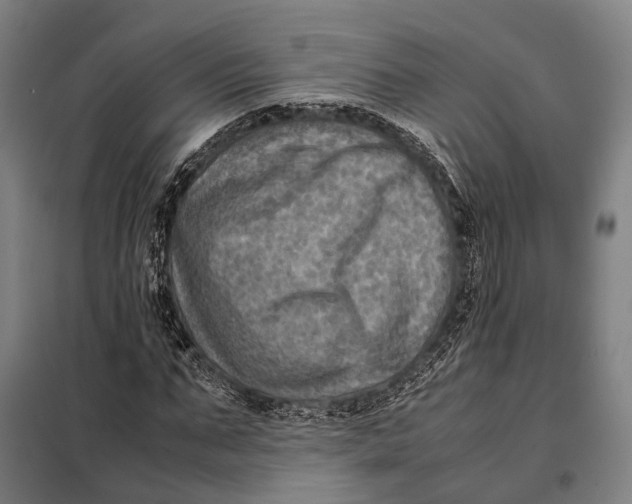 X0000097920871200804041522