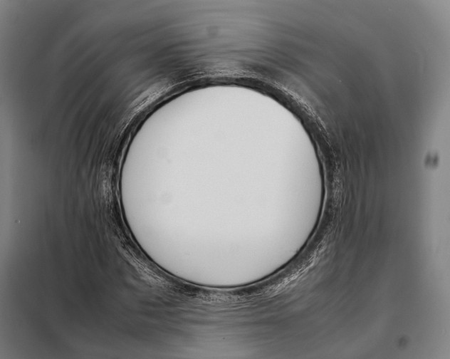 X0000097920873200804041522