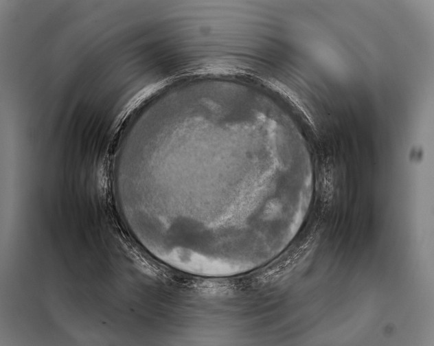 X0000097920874200804041521