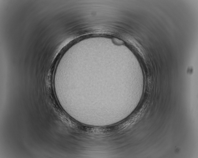 X0000097920875200804041521