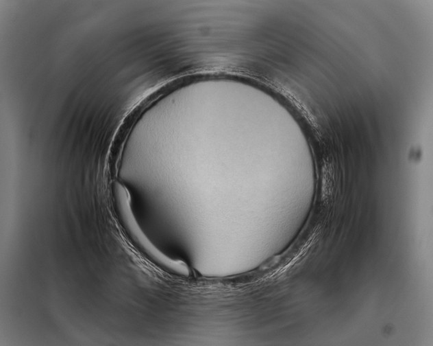 X0000097920876200804041521